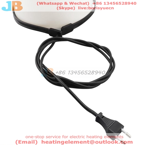 Europe Plug Homebrew Belt